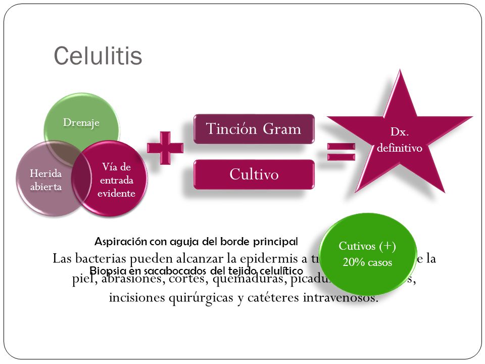 celulitis en niños slideshare celulitis en niños slideshare